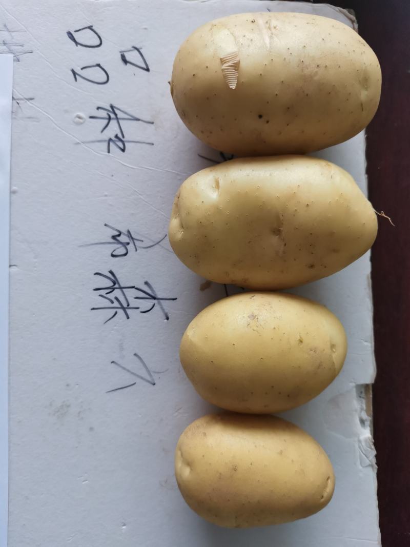 河北内蒙黄沙土豆马铃薯，产地直供，质量保证，全国代发！