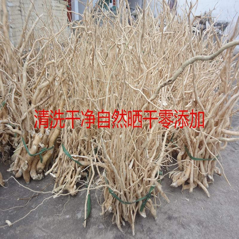 野生黄花倒水莲倒掉黄观音串云南精选条干品鲜品包邮