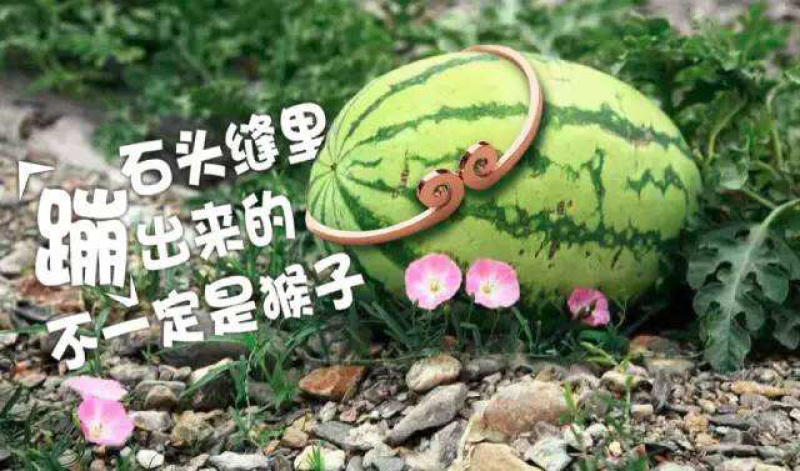 金花金花一号，口感甜。皮薄，耐运输，保质保量