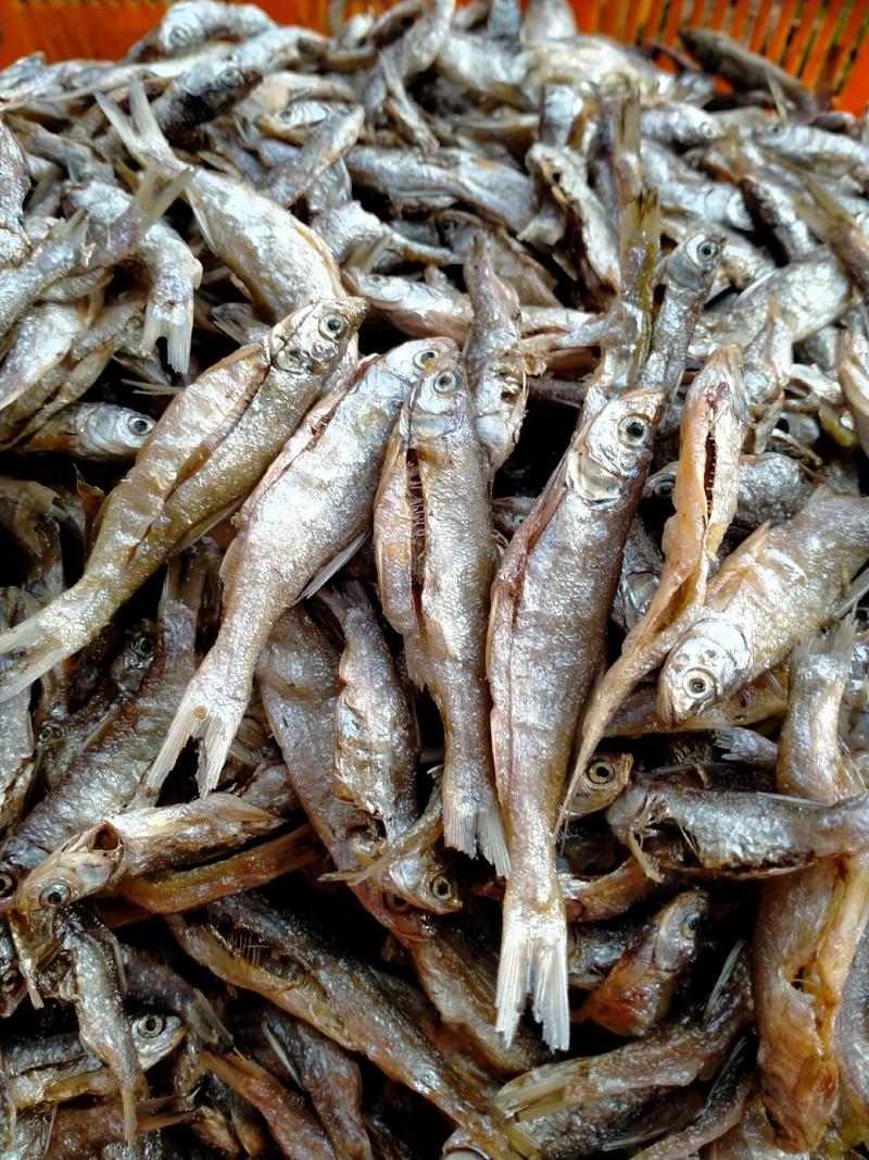 天然河鱼，油炸餐鱼条，油炸叼子鱼，翘白，跑江湖跑量货