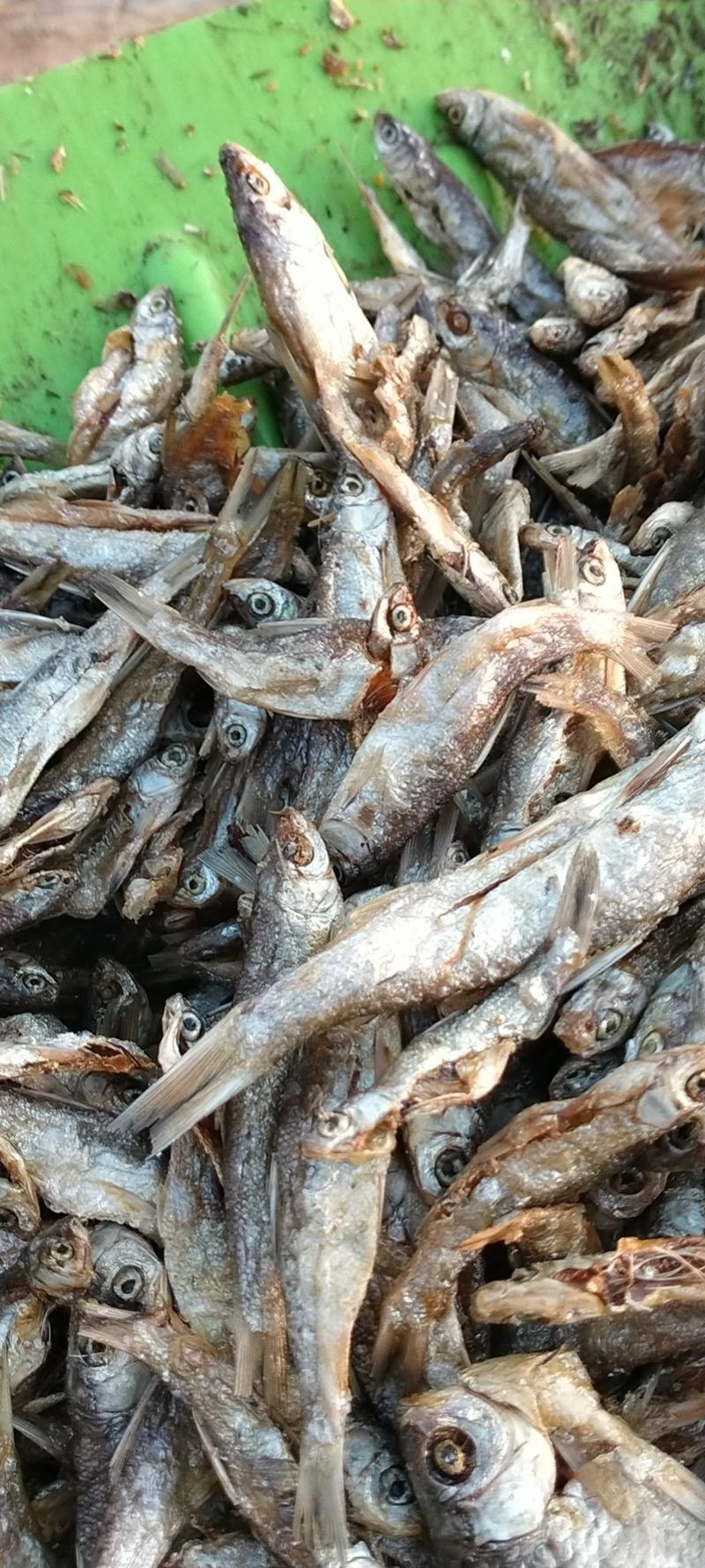 天然河鱼，油炸餐鱼条，油炸叼子鱼，翘白，跑江湖跑量货