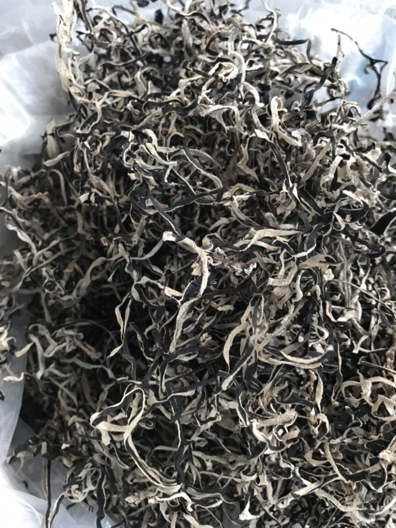 精品木耳丝产地批发直销