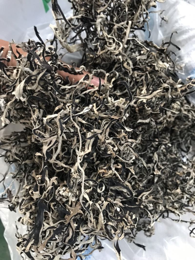 精品木耳丝产地批发直销
