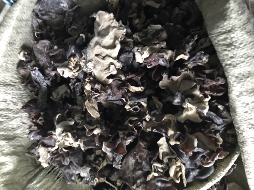 毛木耳炖汤成品图