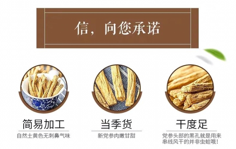 党参段甘肃岷县党参段中药材党参段