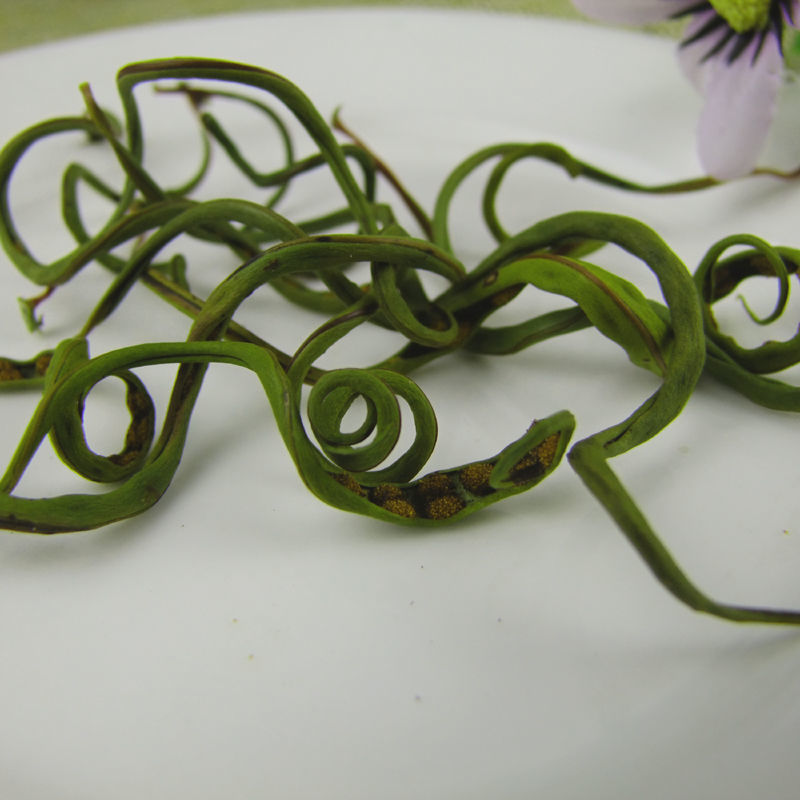 云南野生化石草肾精草化石草茶新货包邮正宗中药材化石草泡水
