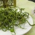 云南野生化石草肾精草化石草茶新货包邮正宗中药材化石草泡水