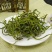 云南野生化石草肾精草化石草茶新货包邮正宗中药材化石草泡水