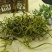 云南野生化石草肾精草化石草茶新货包邮正宗中药材化石草泡水