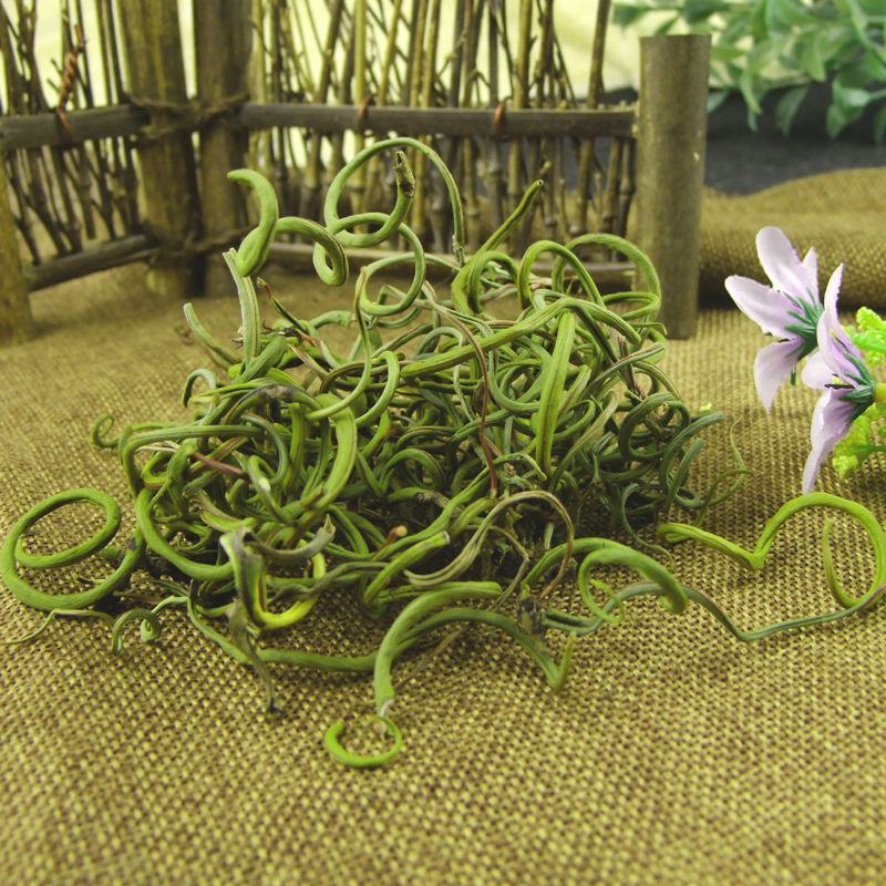 云南野生化石草肾精草化石草茶新货包邮正宗中药材化石草泡水