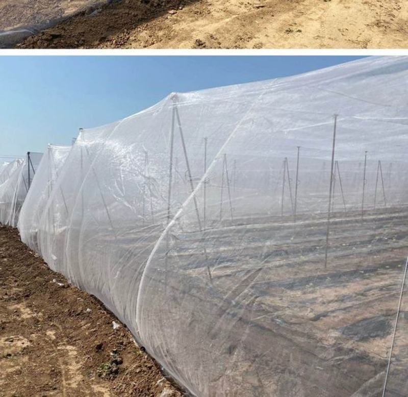 大棚防虫网果树果园网罩蔬菜植物防护网花卉农作物拱棚挡虫网