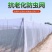 大棚防虫网果树果园网罩蔬菜植物防护网花卉农作物拱棚挡虫网