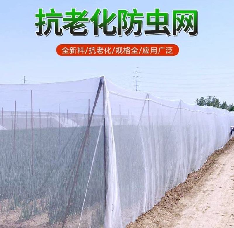 大棚防虫网果树果园网罩蔬菜植物防护网花卉农作物拱棚挡虫网
