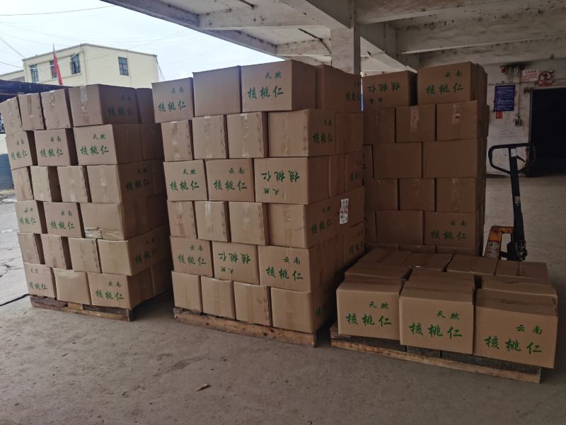 云南一路尖白核桃仁新货核桃仁（厂家直销批发）