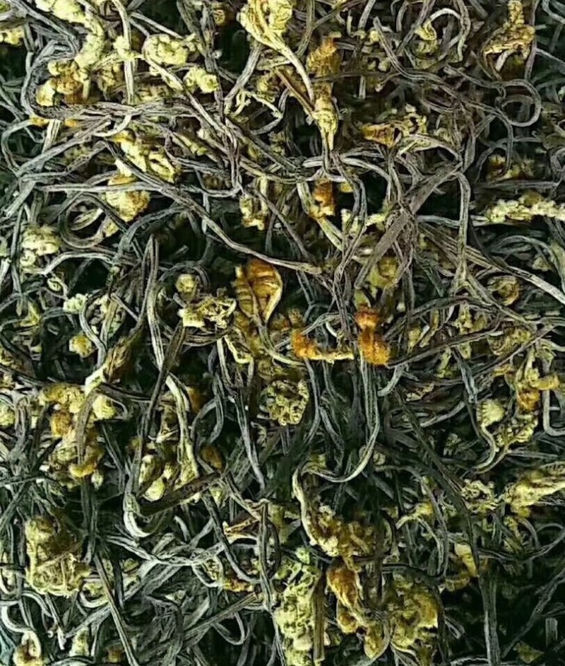 出口级蕨菜干，没有老根，22斤一箱，天然优质蕨菜大量批发