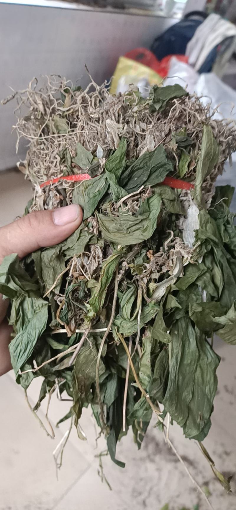野见血清，可以供鲜货或干货(水洗货)，原生态，包邮