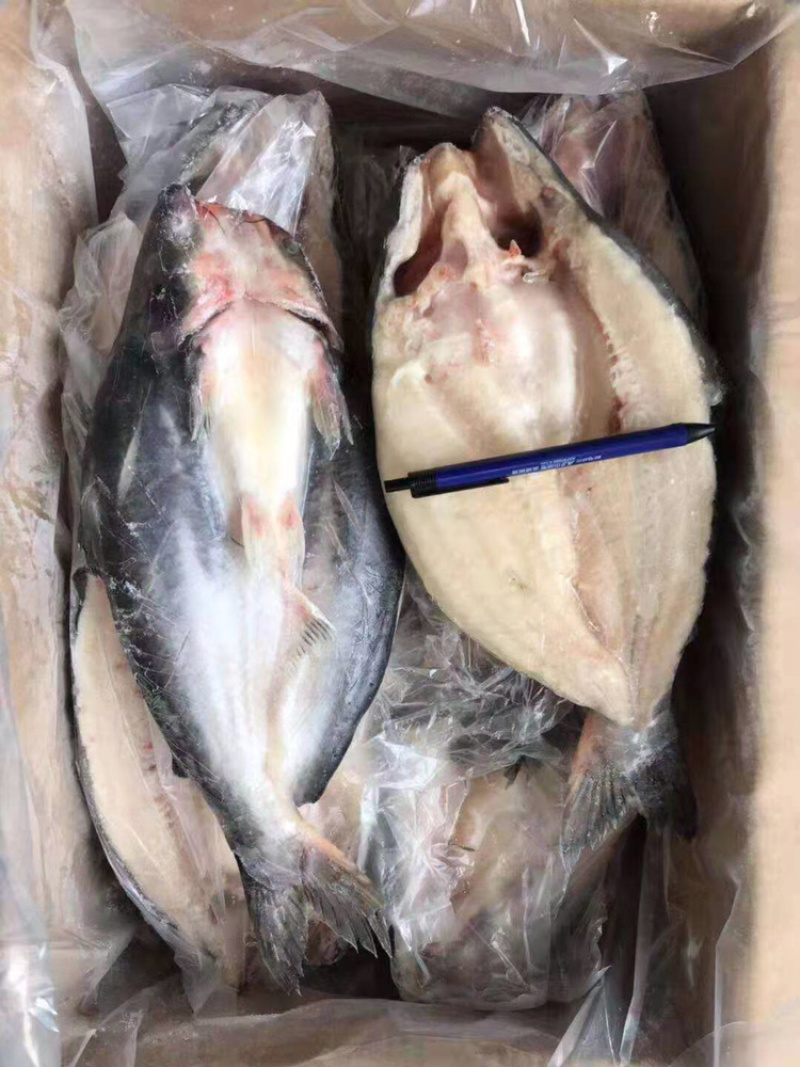国产开背巴沙鱼，活鱼宰杀，新日期，颜色漂亮，肉质鲜美