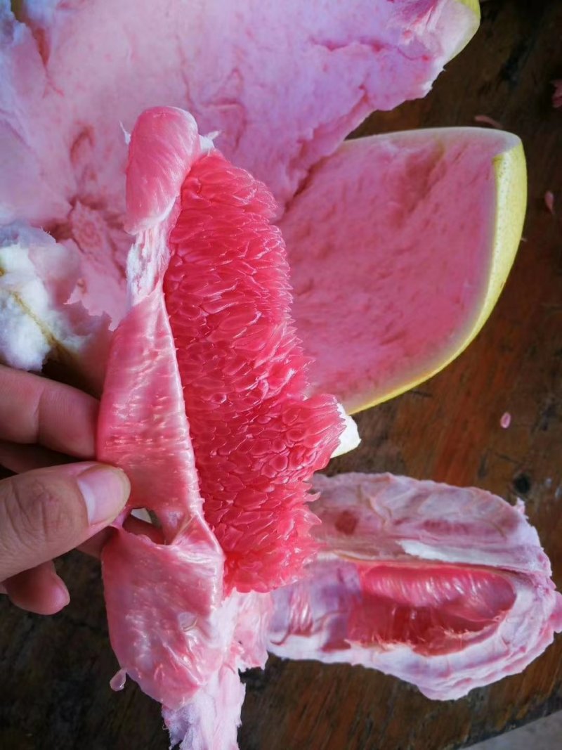 三红蜜柚
