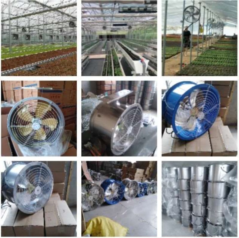 种植养殖内循环风机环流风机温室大棚