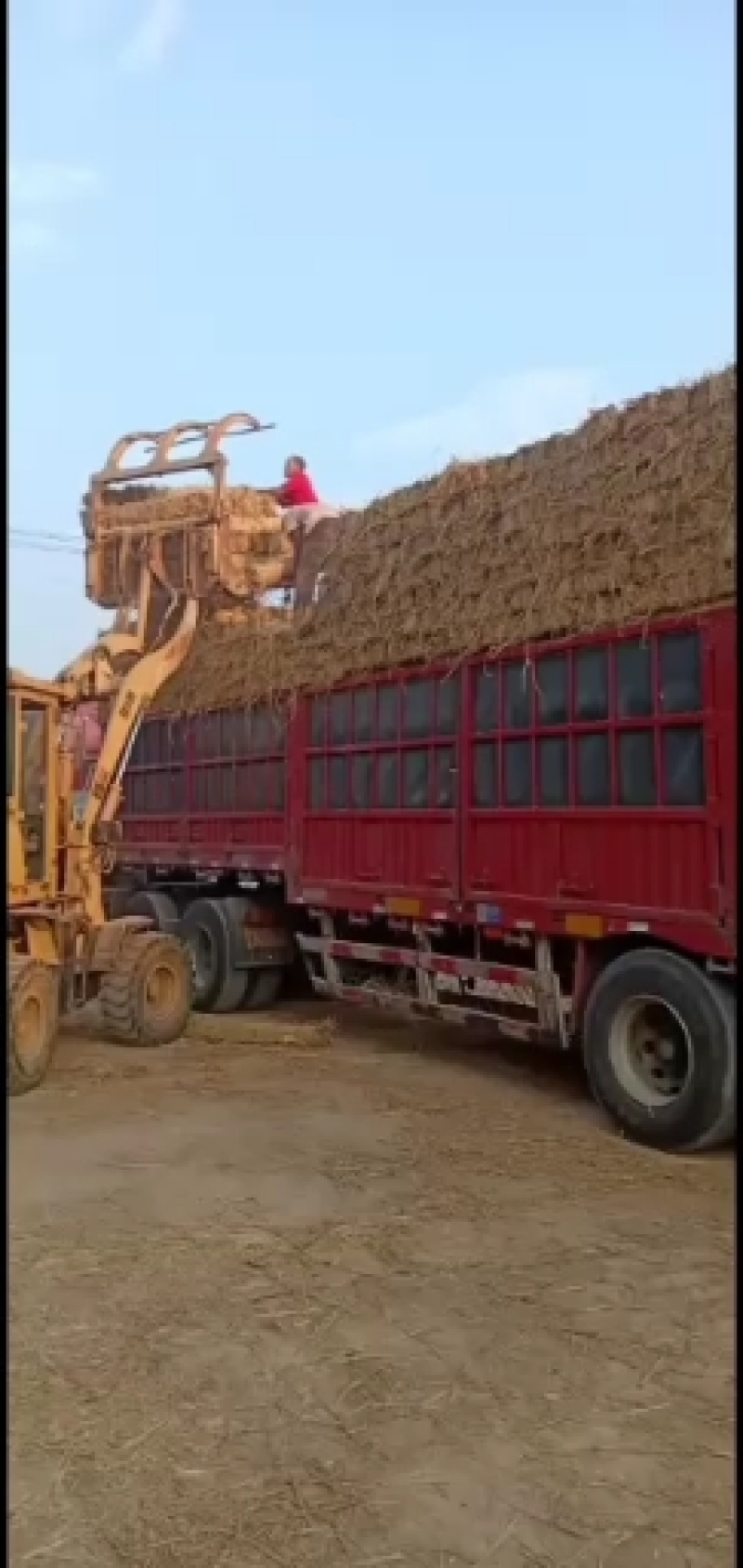 草帘子，各种规格草帘可用于垫车，园林绿化工程，治沙防沙等
