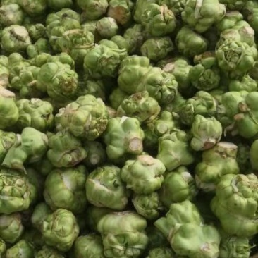 榨菜提前预定，量大从优
