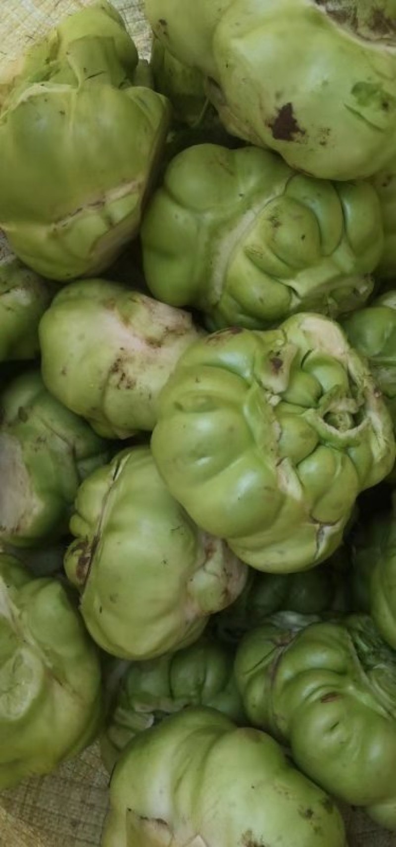 榨菜提前预定，量大从优