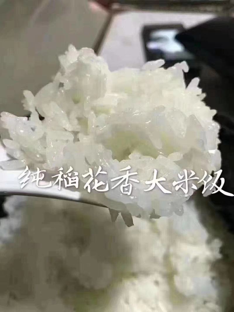 东北大米五常大米产地直供稻花香2号无添加/无掺假（包邮）