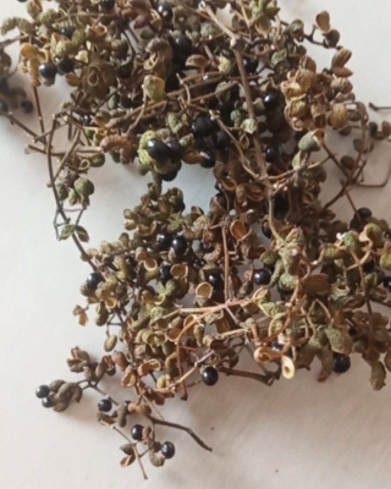 花椒野生臭花椒香花椒大别山特产野生中药材不野生不要钱