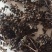 花椒野生臭花椒香花椒大别山特产野生中药材不野生不要钱