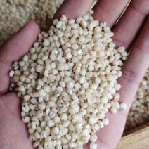 高粱米脱皮高粱米质量好价格美丽量大从优