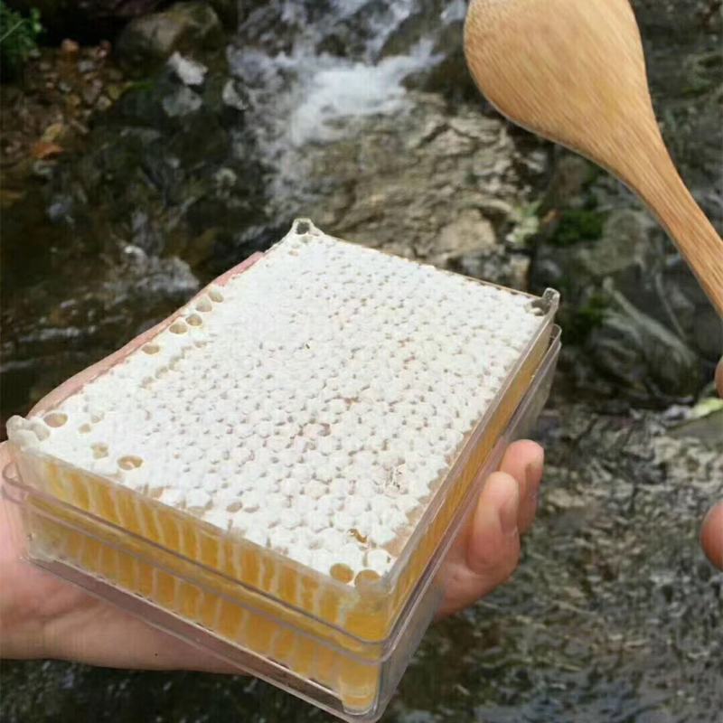 湘西百花蜜农家蜂蜜蜂巢蜜全国包邮好