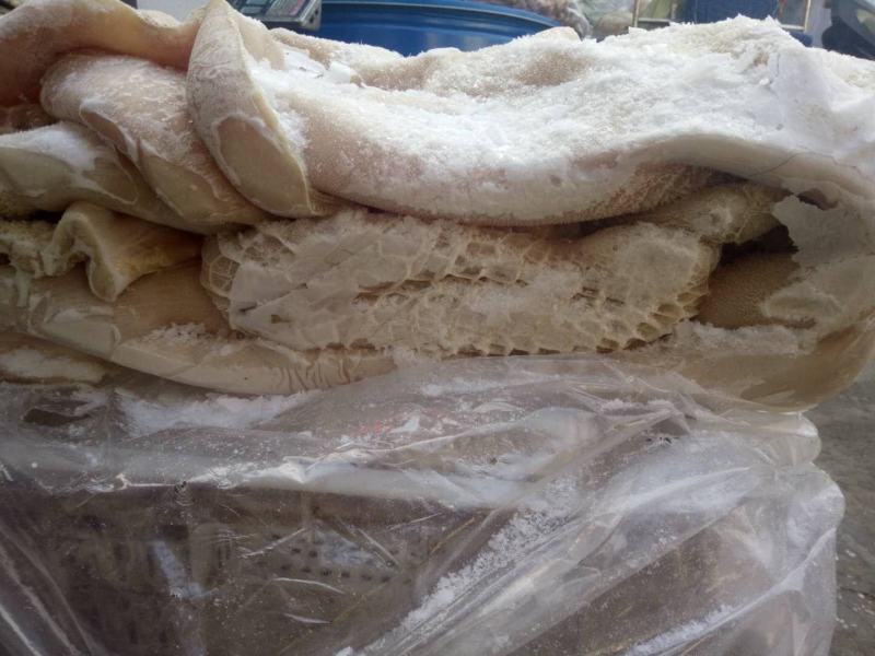 牛肚源头厂家适合炒菜黄焖牛肚凉拌肚