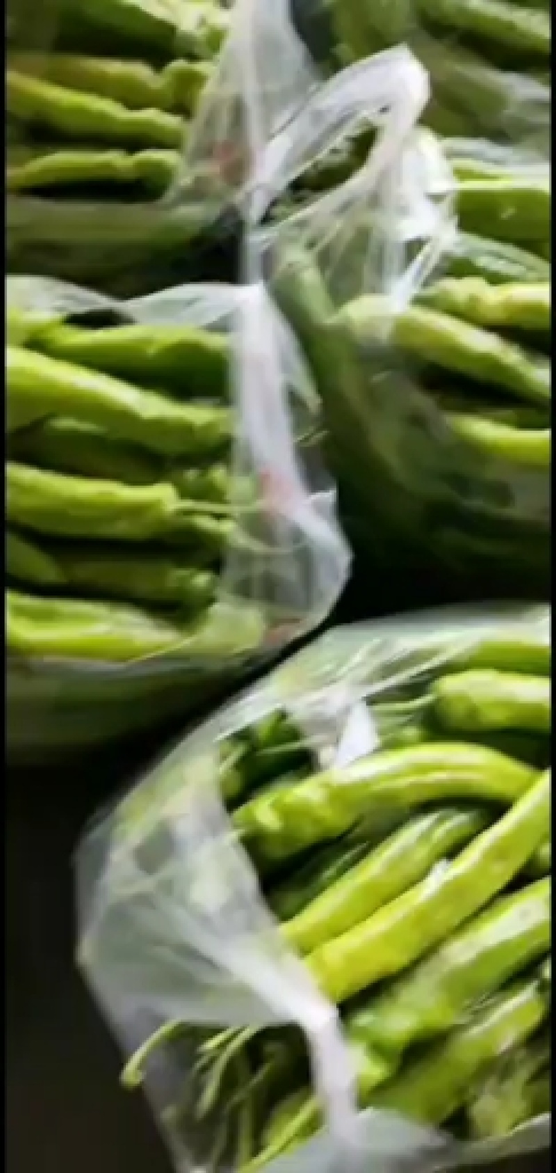 【热销】精品尖椒种植基地一手货源