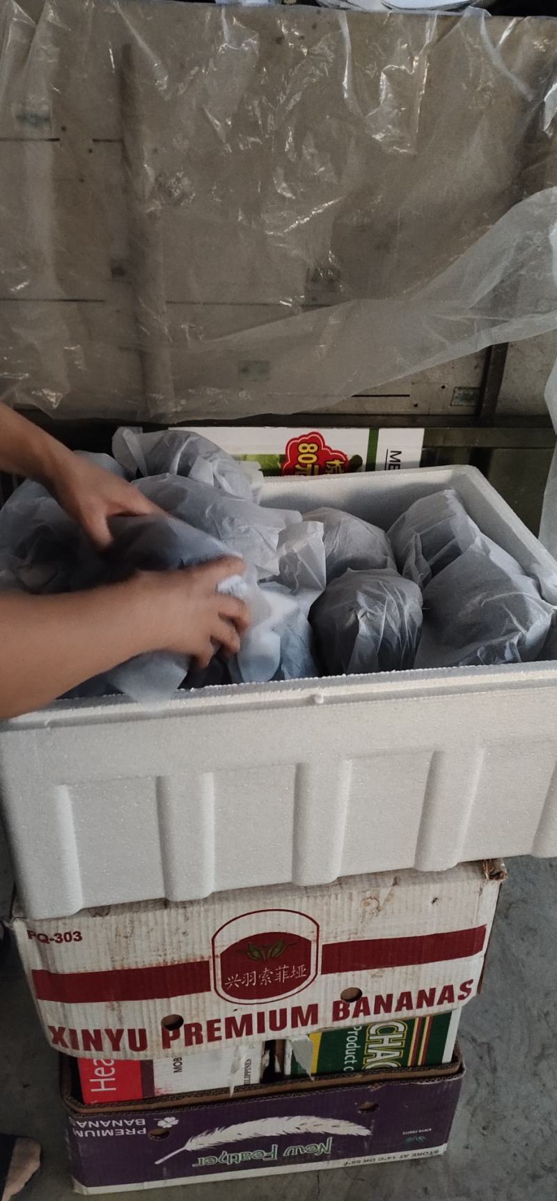 【推荐】精品圆茄一手货源常年代收果面光滑