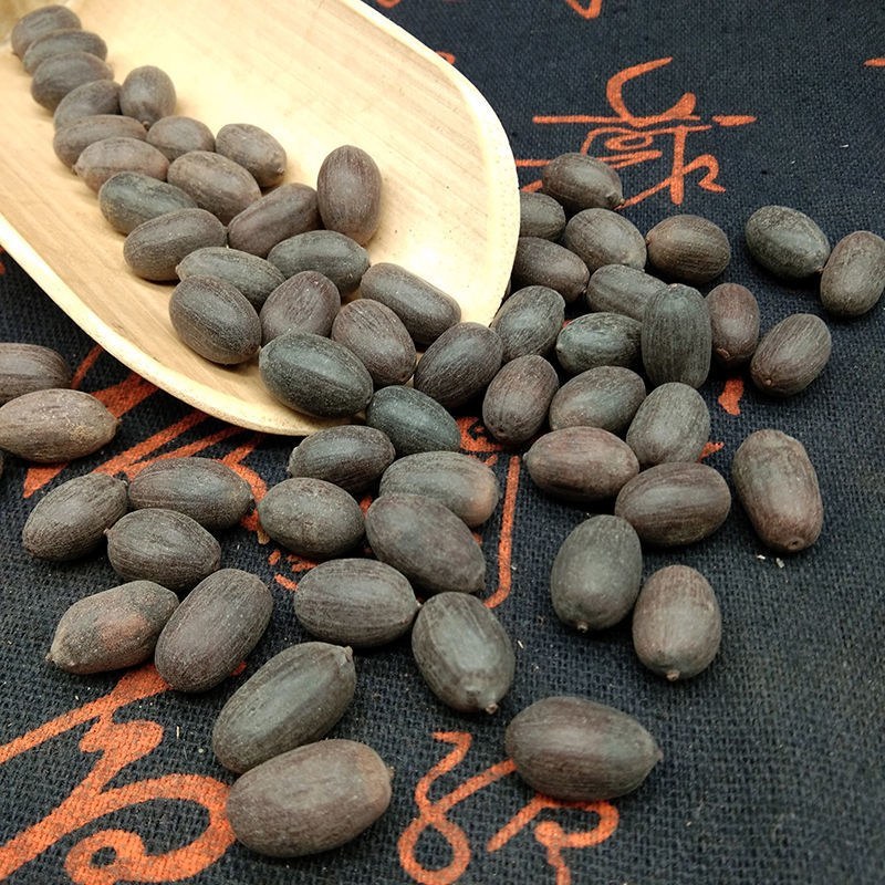 西藏双肾子石莲子中药材