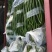 【推荐】精品黑黄线椒产地直销一手货源