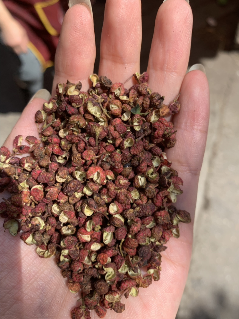 正宗陕西韩城大红袍红花椒。颜色好，颗粒好，色选机筛选