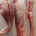 批发零售生熟驴肉，保证质量