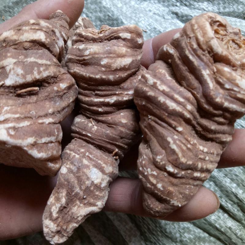 重楼无硫全干重楼七叶一枝花规格齐全量大从优