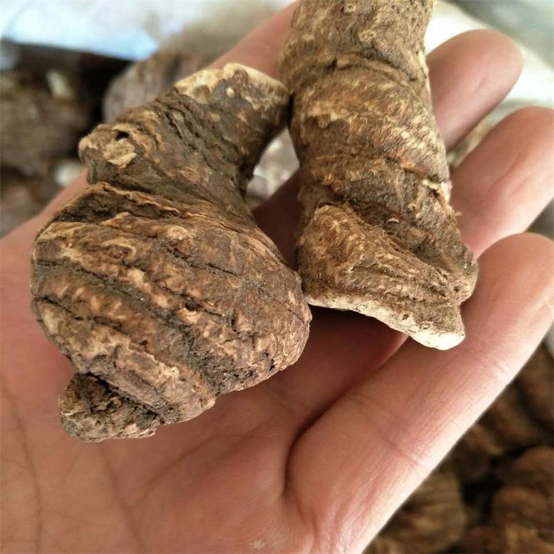 重楼无硫全干重楼七叶一枝花规格齐全量大从优