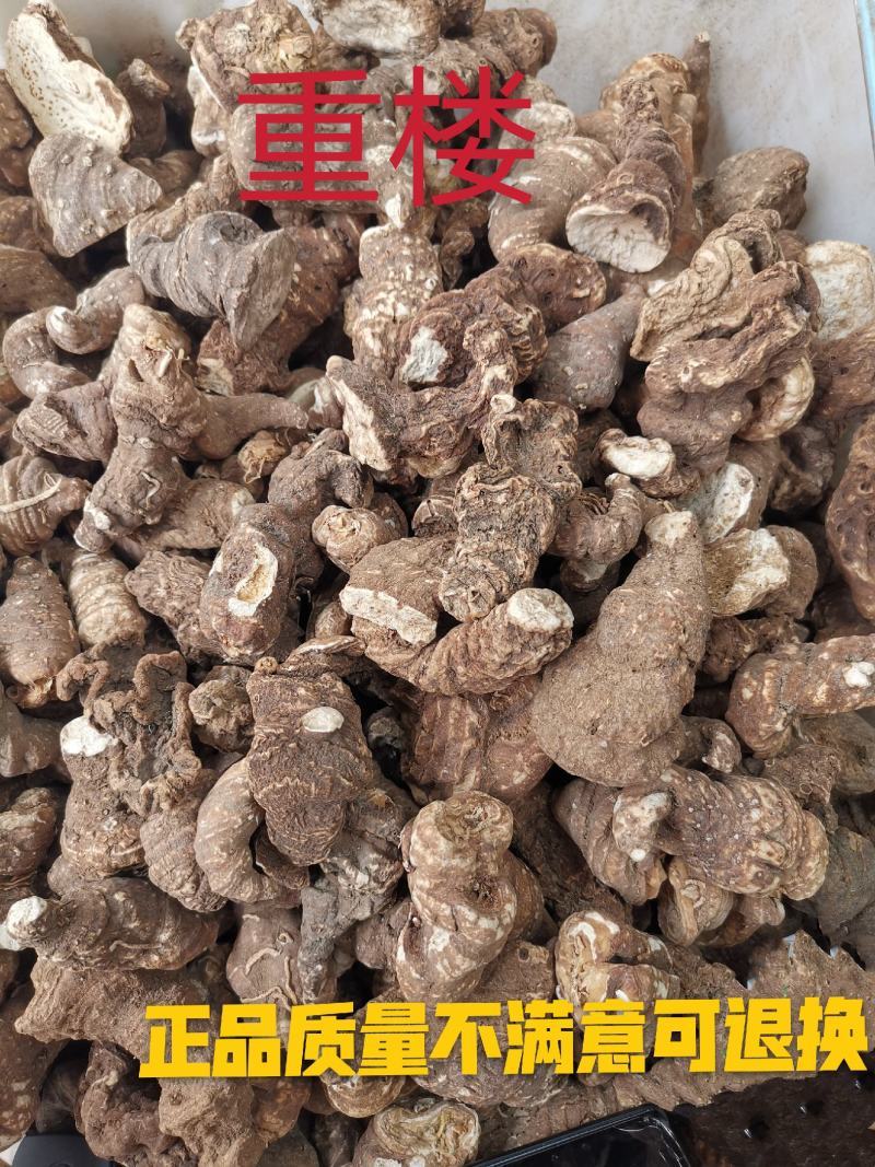 重楼无硫全干重楼七叶一枝花规格齐全量大从优