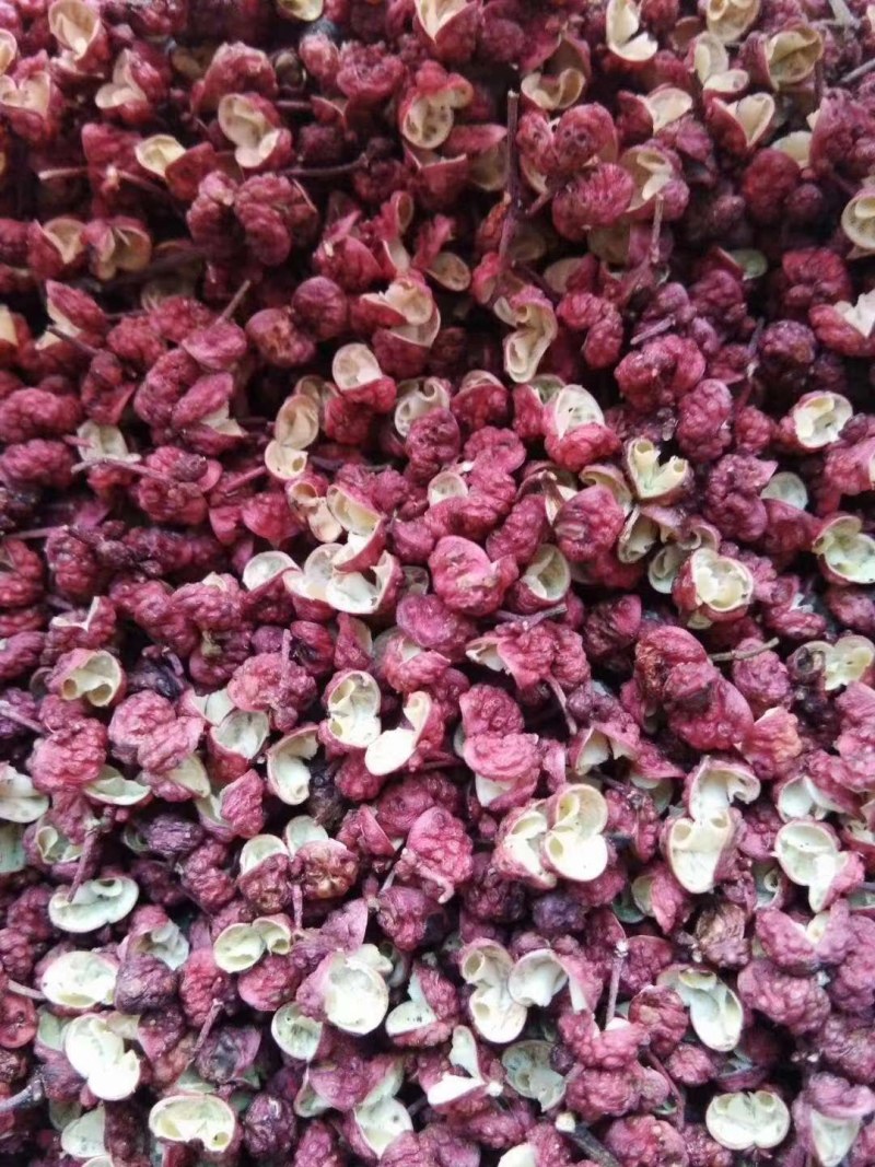 花椒大量上市基地直发量大价格可谈