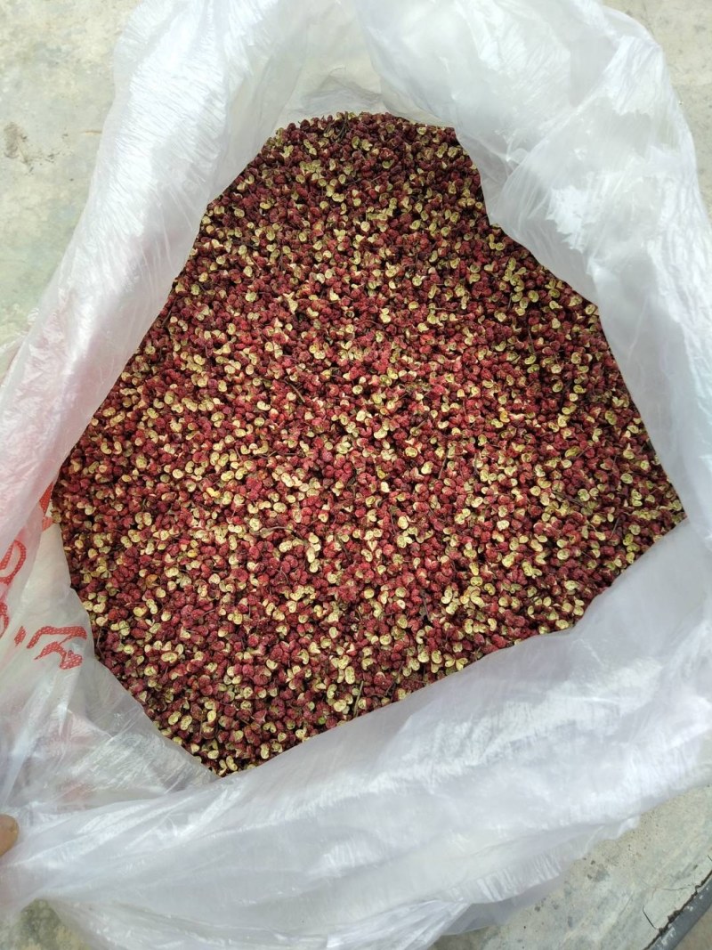 花椒大量上市基地直发量大价格可谈