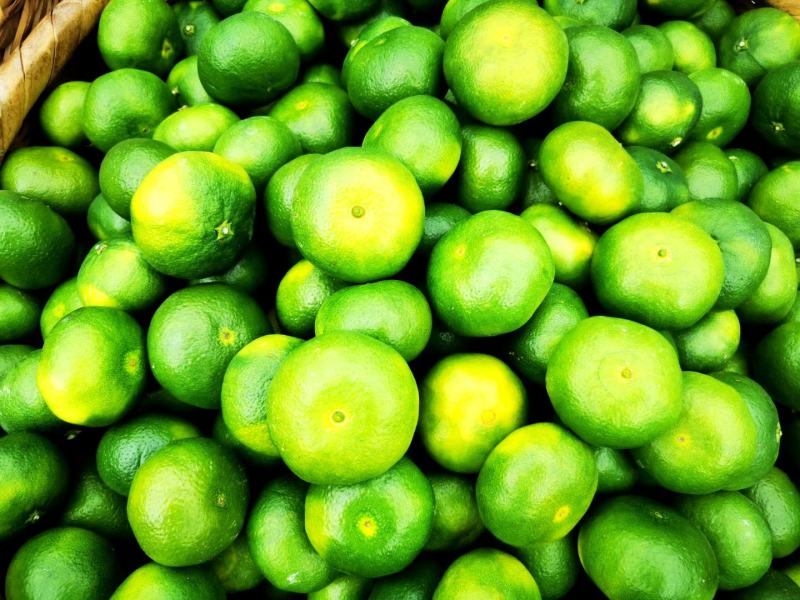 [精品]东江湖特早蜜橘已大量上市欢迎各位老板来采购