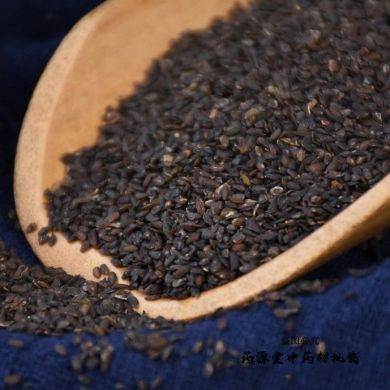 车前子产地直销量大从优批发各种中药材