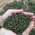 大批量手摘鲁甸青花椒