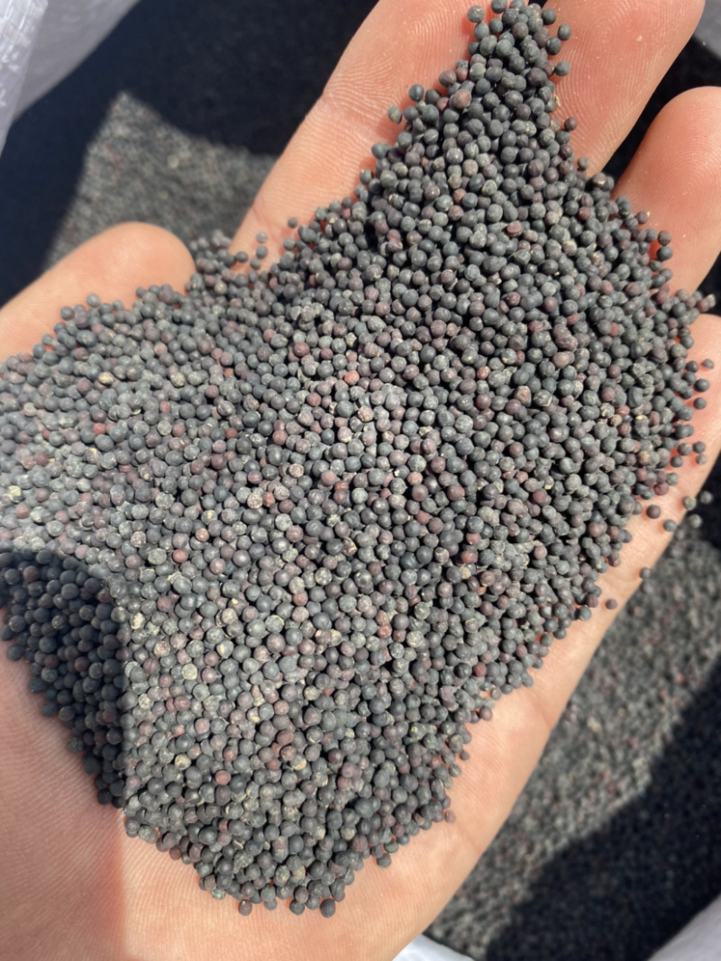 王不留行产地直销量大从优批发各种中药材