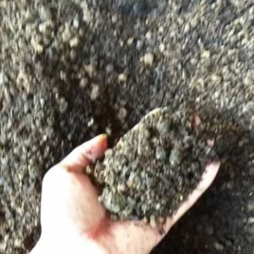 蘑菇渣，有机肥厂原料，是蔬菜花卉物美价廉的底肥。