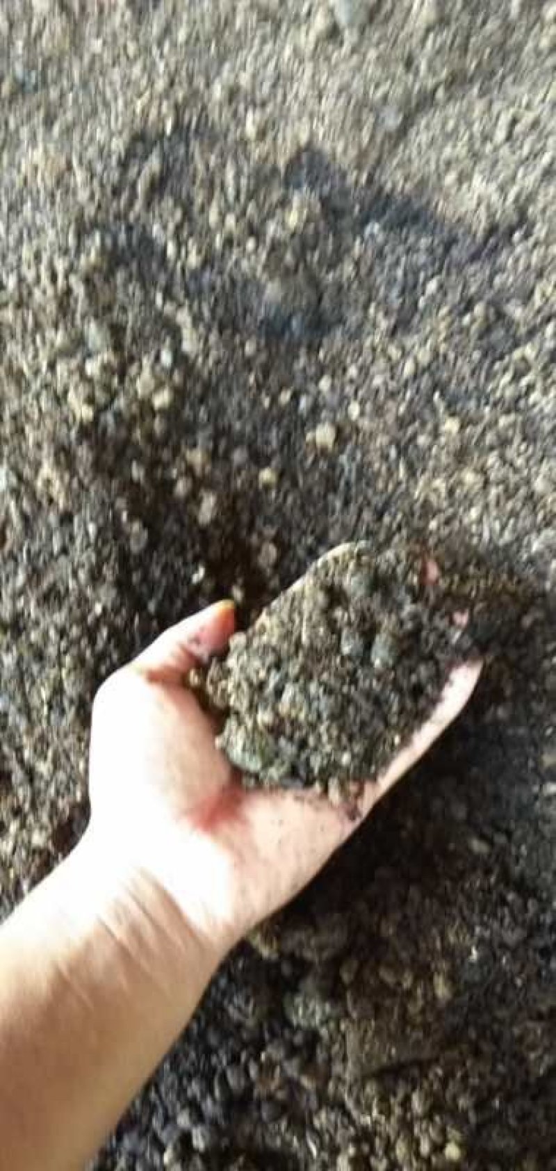 蘑菇渣，有机肥厂原料，是蔬菜花卉物美价廉的底肥。
