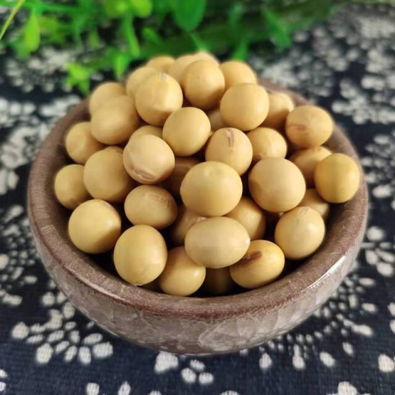 黄大豆香口感纯正的纯手工放心腐竹